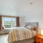 The Burrow